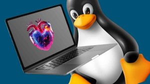 ¿Qué es el kernel? El núcleo de un sistema operativo